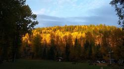 Stone Creek RV Park and Campground, Prince George, BC opening hours