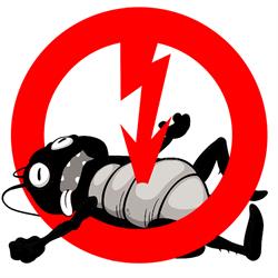 Bugbusters Pest Control, Maple Ridge, BC opening hours