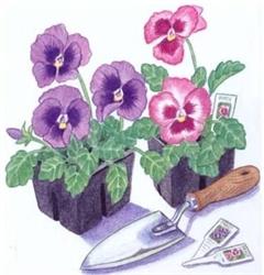 Spruce Drive Bedding Plants, Telkwa, BC opening hours
