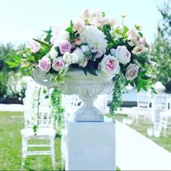 Gracehills Events & Rentals, Calgary, AB opening hours
