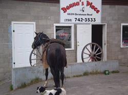 Donna's Place, Anahim Lake, BC opening hours