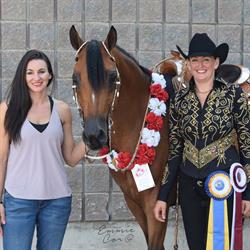 Royden Arabians, Sherwood Park, AB opening hours