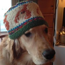 Becky's Knit and Yarn Shop, Lockeport, NS opening hours