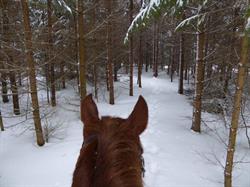 Fox Hollow Farm, Almonte, ON opening hours