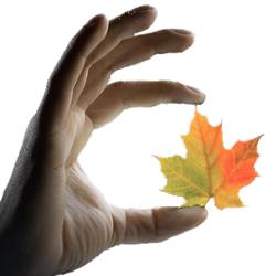 Hand Therapy Canada, London, ON opening hours