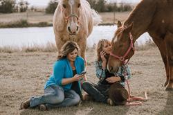 Equine Connection - Certified Equine Assisted Learning and Skills Development, Carseland, AB opening hours