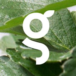 Grö Greenhouse, Winnipeg, MB opening hours