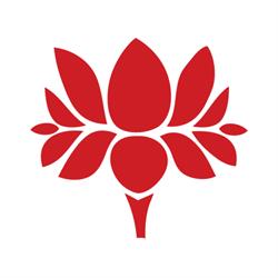 Vi SOL Massage & Wellness, Surrey, BC opening hours