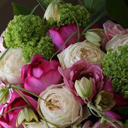 Celebrations In Bloom, Saint John, NB opening hours