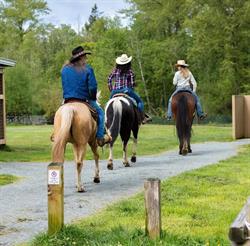Glen Valley Stables, Langley, BC opening hours