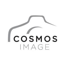 Cosmos Image, Sherbrooke, QC opening hours