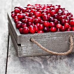Yellow Point Cranberries, Ladysmith, BC opening hours
