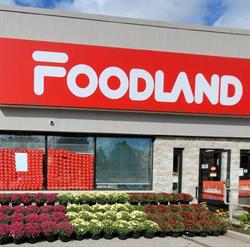 Foodland, Stirling, ON opening hours