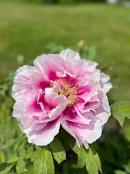 Fredericton Botanic Garden, opening hours