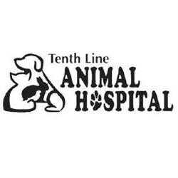 Tenth Line Animal Hospital, Orleans, ON opening hours
