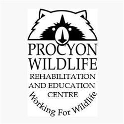 Procyon Wildlife, Beeton, ON opening hours