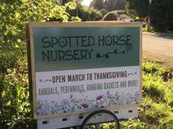 The Spotted Horse Farm and Nursery, Terrace, BC opening hours