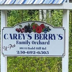 Carey's Positive Electronics Ltd., Burns Lake, BC opening hours