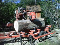 Traditional Forest Products, Freelton, ON opening hours