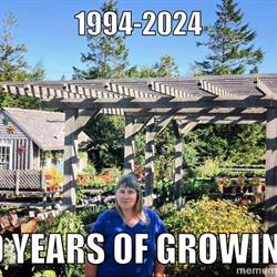 Ouest Ville Perennials, West Pubnico, NS opening hours