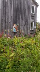 Art at Hooper Studios, Hampton, NB opening hours