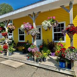 Neily's Greenhouse and Gardens, Paradise, NS opening hours