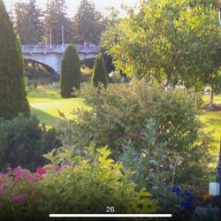 Klages Mill & Garden, Chesley, ON opening hours