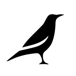 Raven Studio, London, ON opening hours