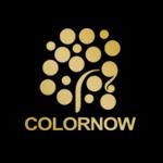 Colornow Canada Ltd., North York, ON opening hours