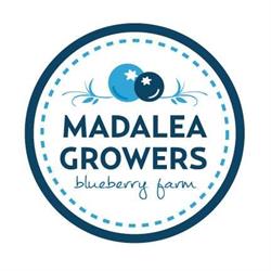 Madalea Growers Blueberry Farm, Mara, BC opening hours