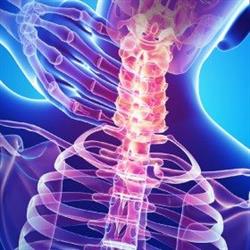 Physio 4 Life, Ajax, ON opening hours