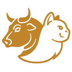 DOSC Restaurant, Edmonton, AB opening hours