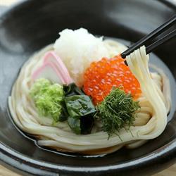 Zen Sanuki Udon, Scarborough, ON opening hours