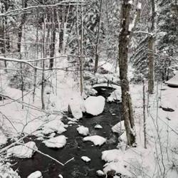 Chalet Le Renard Des-Eaux-Vives, Saint-Adolphe-d'Howard, QC opening hours