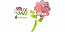 Fleuriste À Fleur De Pots, Daveluyville, QC opening hours