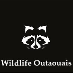 Extermination Wildlife Outaouais - Exterminateur Gatineau, opening hours