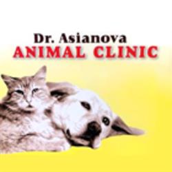 Dr. Asianova Animal Clinic, Maple, ON opening hours