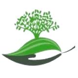 Premier Landscaping Lawn Care & Snow Removal, Vanessa, ON opening hours