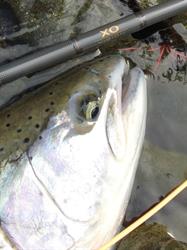 Nile Creek Fly Shop, Bowser, BC opening hours