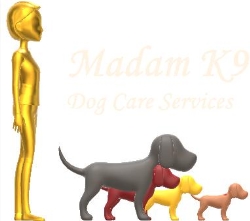 Madam K9 Dog Walking, Halifax, NS opening hours