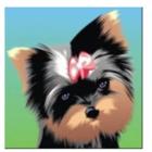 Prestige Dog Grooming, Oromocto, NB opening hours