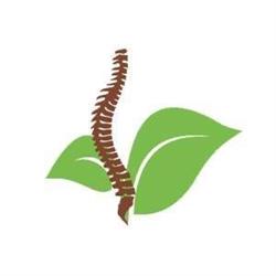 True Life Wellness and Physiotherapy, North York, ON opening hours