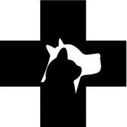 Blue Mountain Park Animal Hospital, Coquitlam, BC opening hours