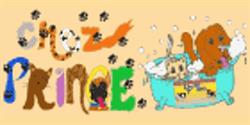 Studio de Tonte et Toilettage Chez Prince, Boucherville, QC opening hours