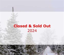 Maryhill Christmas Tree Farm, Breslau, ON opening hours