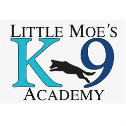 Little Moe's Academy, Upper Brookside, NS opening hours