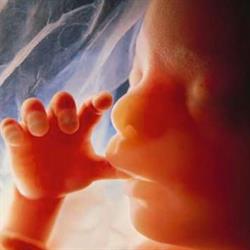 Canadian Association for Prenatal Education, Jaffray, BC opening hours