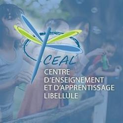 Centre d’Enseignement et d'Apprentissage Libellule, Rouyn-Noranda, QC opening hours
