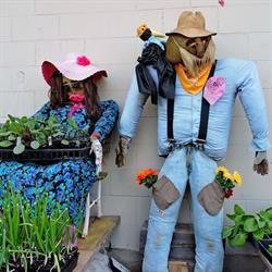 Horsefly Nursery, opening hours