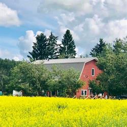 Little Red Barn Gift & Cafe, Red Deer, AB opening hours
